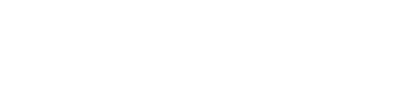 flx logo